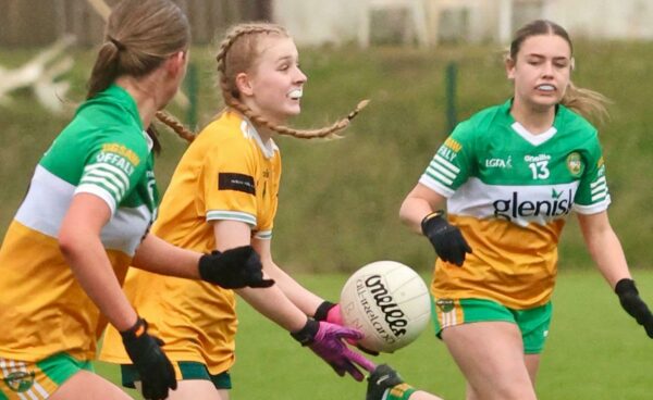 Juvenile Intercounty Managers