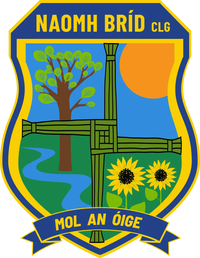 St Brigid's  Belfast GAC