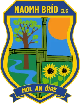 St Brigid's  Belfast GAC