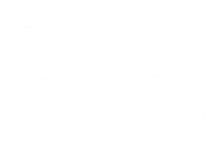 Northern Property Logo white